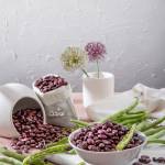لوبیا چیتی ازبکستان؛ داستان کیفیت و نوآوری در صنعت کنسرو